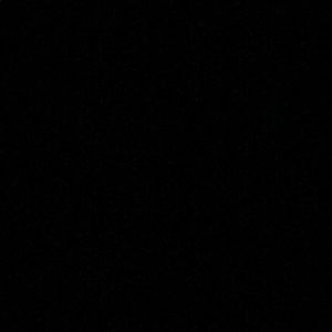 Meet your Posher, Lizbeth